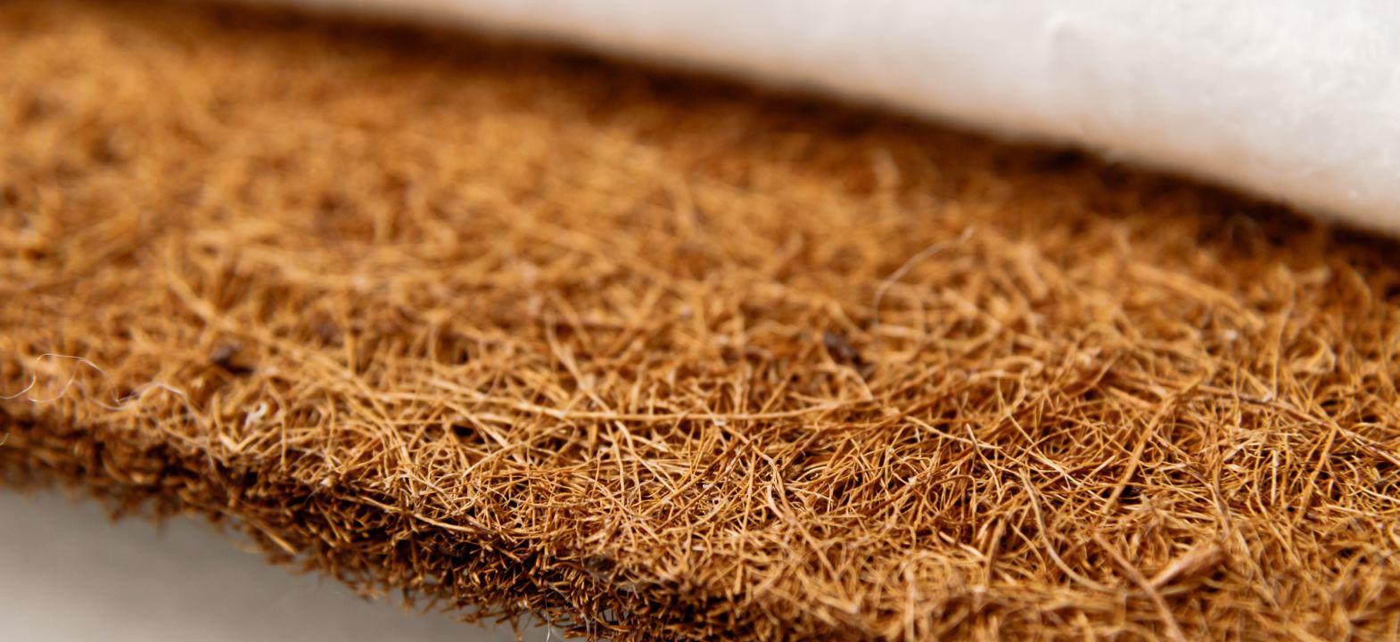 Softening Of Coir Fibre To Improve Flexibility